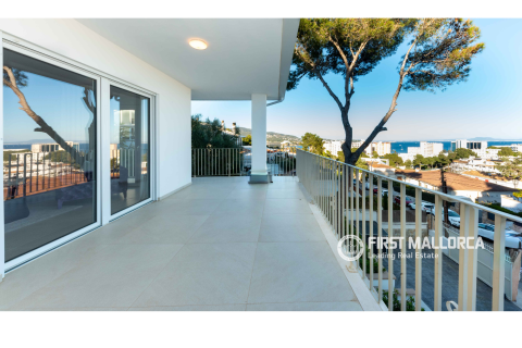 Villa à louer à Palmanova, Mallorca, Espagne, 6 chambres, 537 m2 No. 164556 - photo 26