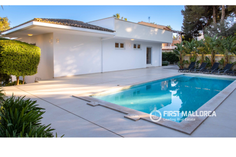 Villa à louer à Palmanova, Mallorca, Espagne, 6 chambres, 537 m2 No. 164556 - photo 29