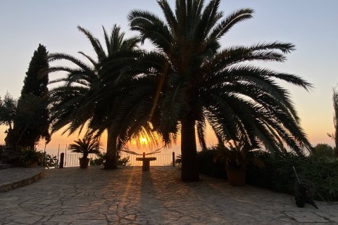 Finca till salu i Soller, Mallorca, Spanien 4 sovrum, 272 kvm. Nr. 164555 - foto 25