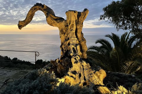 Finca till salu i Soller, Mallorca, Spanien 4 sovrum, 272 kvm. Nr. 164555 - foto 27