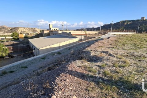 Tontti vuokrattavana Lorca, Murcia, Espanja , 7400 m2 No. 154331 - kuva 13