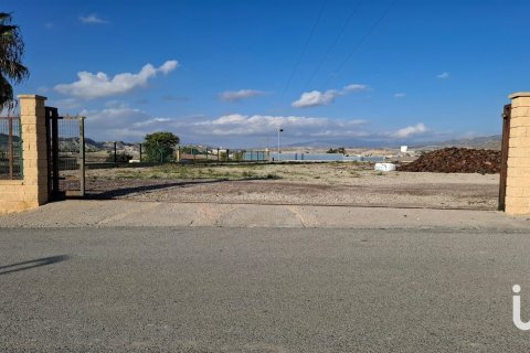 Tontti vuokrattavana Lorca, Murcia, Espanja , 7400 m2 No. 154331 - kuva 3