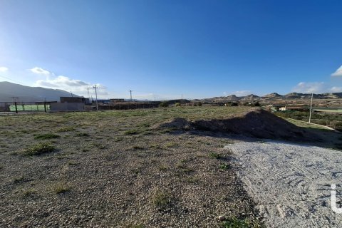 Tontti vuokrattavana Lorca, Murcia, Espanja , 7400 m2 No. 154331 - kuva 9