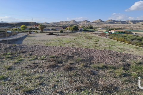 Tontti vuokrattavana Lorca, Murcia, Espanja , 7400 m2 No. 154331 - kuva 10