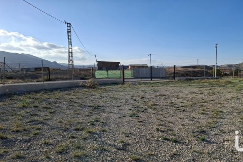 Tontti vuokrattavana Lorca, Murcia, Espanja , 7400 m2 No. 154331 - kuva 7