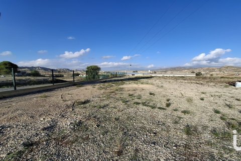 Tontti vuokrattavana Lorca, Murcia, Espanja , 7400 m2 No. 154331 - kuva 16