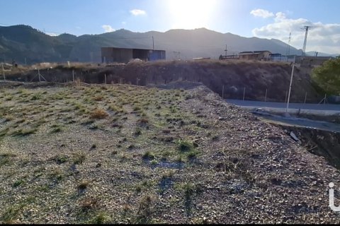 Tontti vuokrattavana Lorca, Murcia, Espanja , 7400 m2 No. 154331 - kuva 22