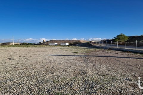 Tontti vuokrattavana Lorca, Murcia, Espanja , 7400 m2 No. 154331 - kuva 5