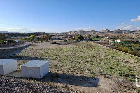 Tontti vuokrattavana Lorca, Murcia, Espanja , 7400 m2 No. 154331 - kuva 14