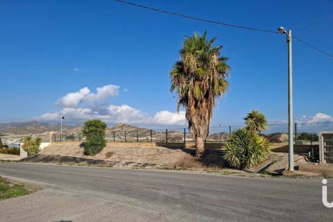 Tomt i Lorca, Murcia, Spanien 7400 kvm. Nr. 154331