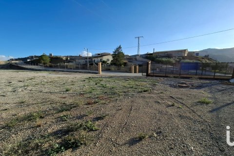 Tontti vuokrattavana Lorca, Murcia, Espanja , 7400 m2 No. 154331 - kuva 18