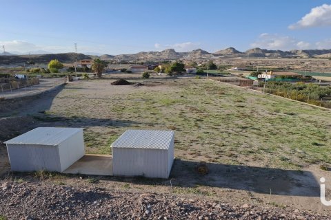 Tontti vuokrattavana Lorca, Murcia, Espanja , 7400 m2 No. 154331 - kuva 11