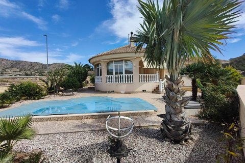 Villa in vendita La Romana, Alicante, Spagna 3 camere da letto, 230 mq. N° 137869 - foto 3