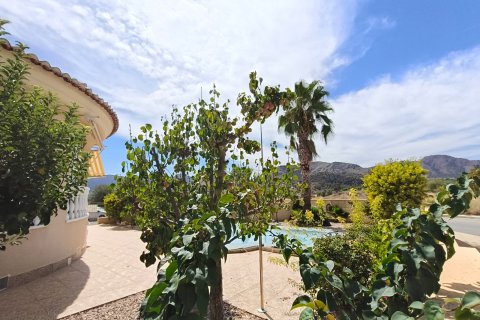 Villa in vendita La Romana, Alicante, Spagna 3 camere da letto, 230 mq. N° 137869 - foto 7