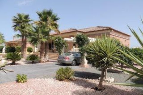Villa in vendita Catral, Alicante, Spagna 3 camere da letto, 256 mq. N° 137868 - foto 18
