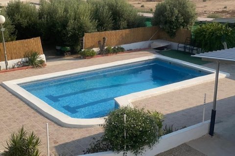 House in Guardamar del Segura, Alicante, Spanien 4 Schlafzimmer, 311 m2 Nr. 155759