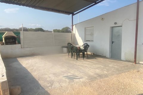 House zum Verkauf in Guardamar del Segura, Alicante, Spanien 4 Schlafzimmer, 311 m2 Nr. 155759 - Foto 11