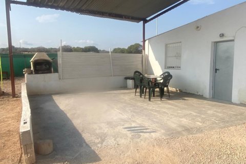 House zum Verkauf in Guardamar del Segura, Alicante, Spanien 4 Schlafzimmer, 311 m2 Nr. 155759 - Foto 10