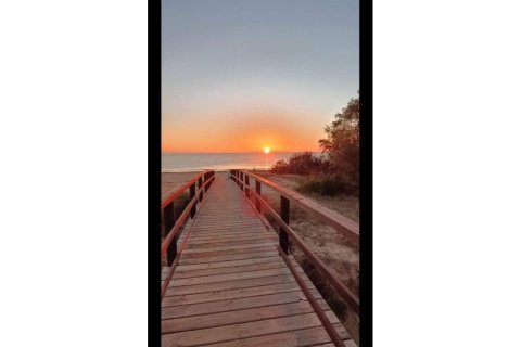 Penthäuser zum Verkauf in Torrevieja, Alicante, Spanien 3 Schlafzimmer, 89 m2 Nr. 155758 - Foto 21