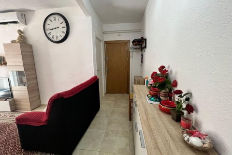 Huoneisto myytävänä Torrevieja, Alicante, Espanja, 4 makuuhuonetta, 120 m2 No. 155760 - kuva 10