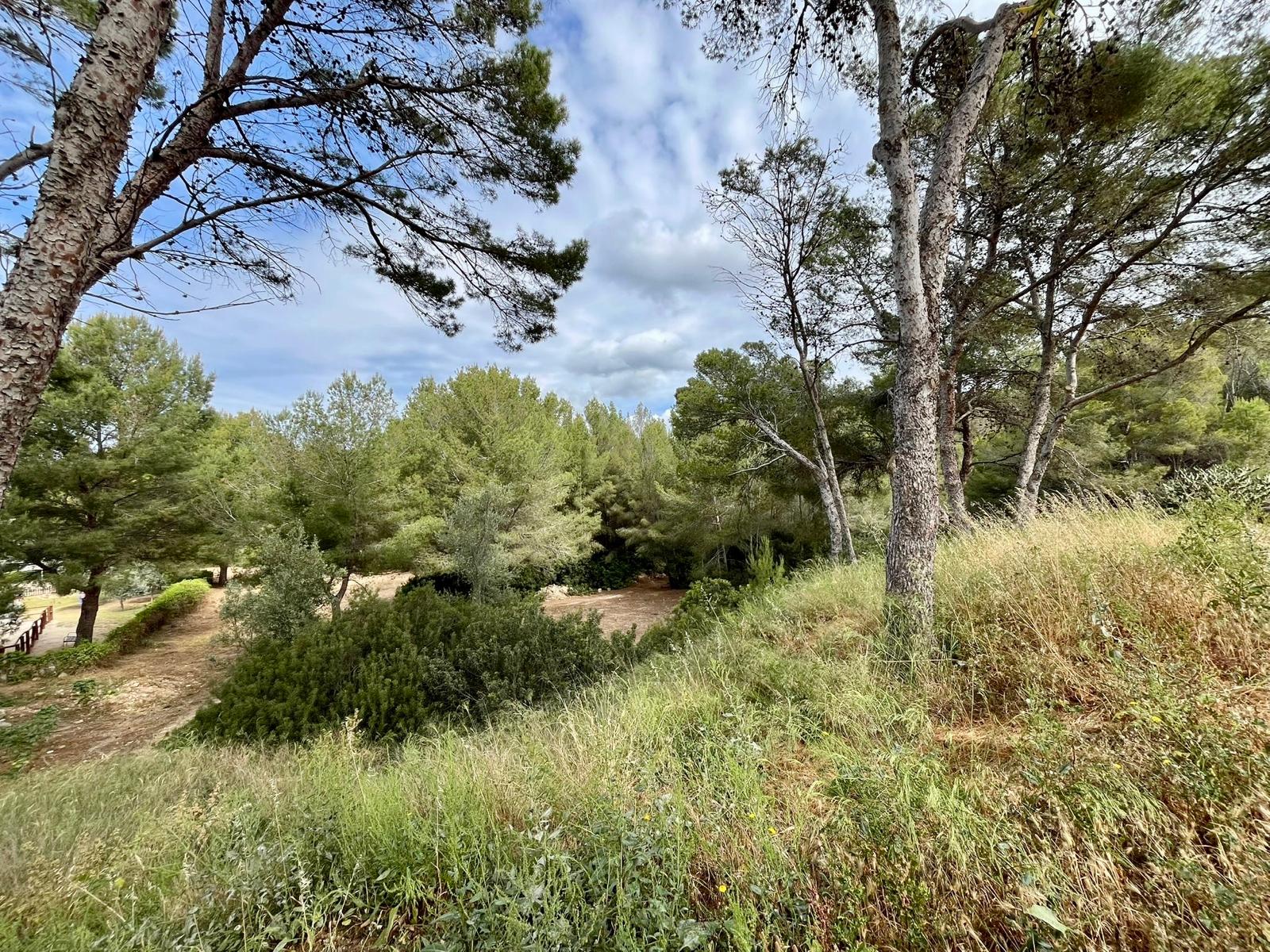 Lägenhet i Santa Ponsa, Mallorca, Spanien 2 sovrum, 84 kvm. Nr. 99423