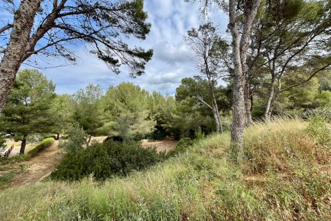 Dzīvoklis pārdošanā Santa Ponsa, Mallorca, Spānijā 2 istabas, 84 m2 Nr. 99423 - attēls 12