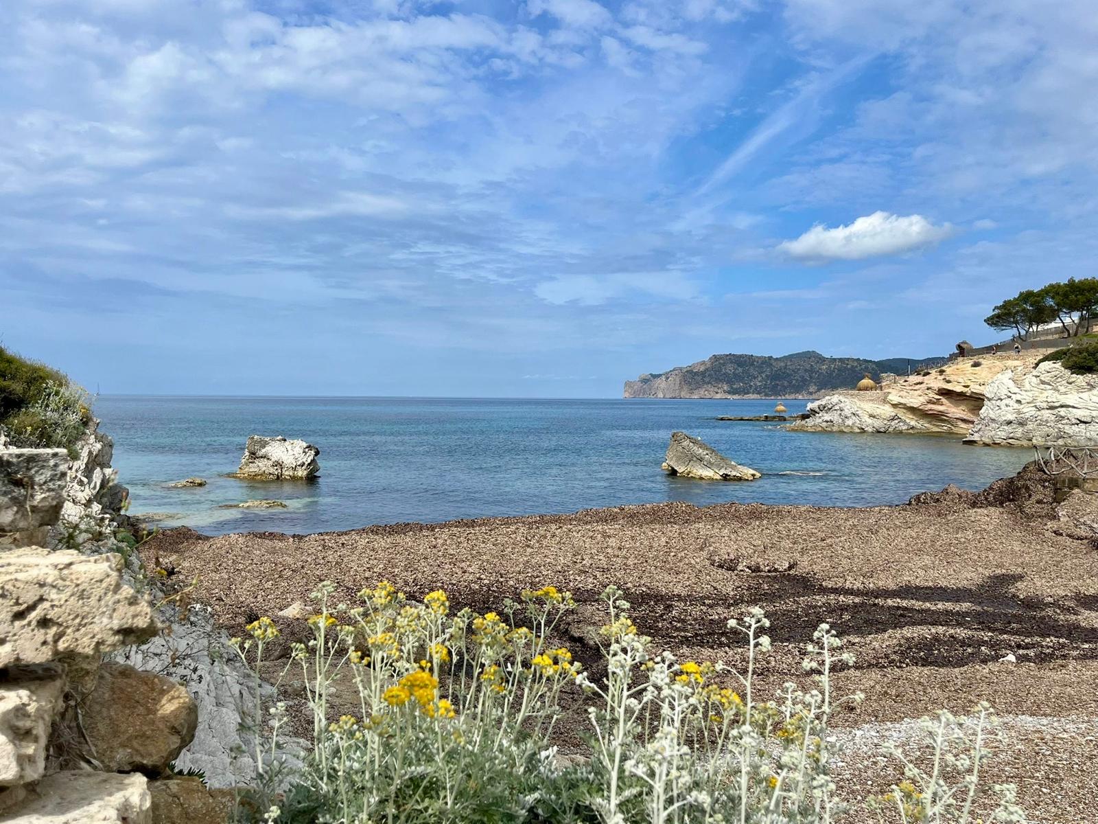 Lägenhet i Santa Ponsa, Mallorca, Spanien 2 sovrum, 84 kvm. Nr. 99423