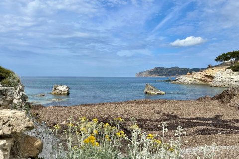 Dzīvoklis pārdošanā Santa Ponsa, Mallorca, Spānijā 2 istabas, 84 m2 Nr. 99423 - attēls 11