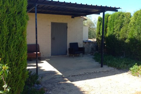 Land plot for sale in Ginestar, Tarragona, Spain 13776 sq.m. No. 185778 - photo 12
