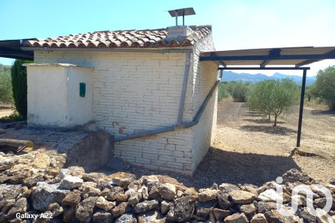 Land plot for sale in Ginestar, Tarragona, Spain 13776 sq.m. No. 185778 - photo 14