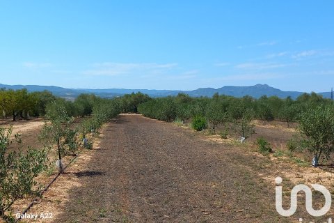 Land plot for sale in Ginestar, Tarragona, Spain 13776 sq.m. No. 185778 - photo 23