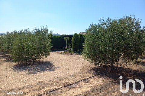 Land plot for sale in Ginestar, Tarragona, Spain 13776 sq.m. No. 185778 - photo 25