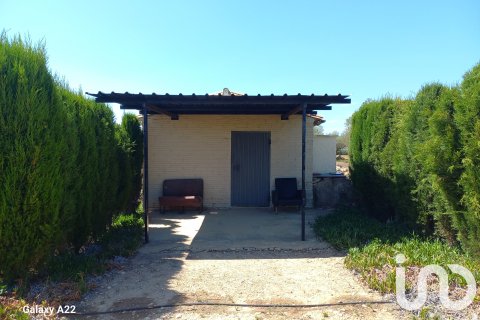 Terreno a Ginestar, Tarragona, Spagna 13776 mq. N° 185778