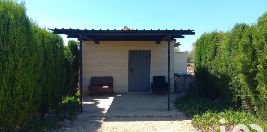Land plot in Ginestar, Tarragona, Spain 13776 sq.m. No. 185778