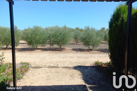 Land plot for sale in Ginestar, Tarragona, Spain 13776 sq.m. No. 185778 - photo 26