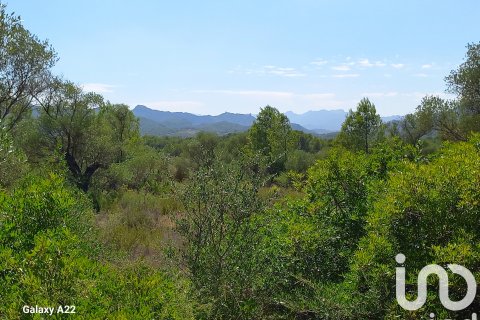 Land plot for sale in Ginestar, Tarragona, Spain 13776 sq.m. No. 185778 - photo 18
