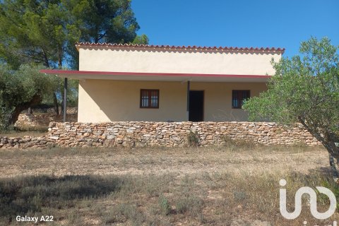 Продажа земельного участка в Джинестар, Таррагона, Испания 46791м2 №185781 - фото 2