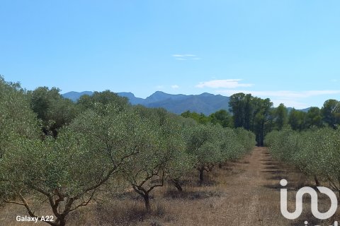 Продажа земельного участка в Джинестар, Таррагона, Испания 46791м2 №185781 - фото 30