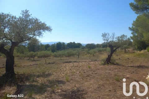 Продажа земельного участка в Джинестар, Таррагона, Испания 46791м2 №185781 - фото 7