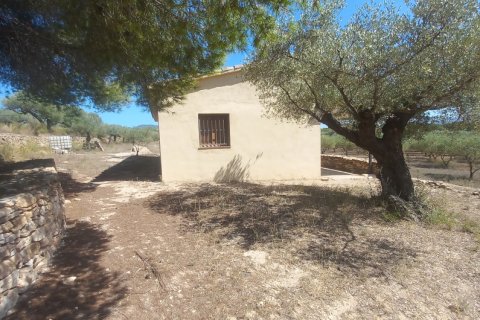 Продажа земельного участка в Джинестар, Таррагона, Испания 46791м2 №185781 - фото 26