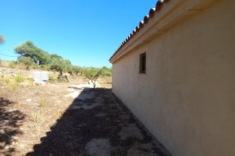 Продажа земельного участка в Джинестар, Таррагона, Испания 46791м2 №185781 - фото 19