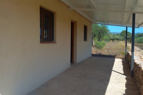 Продажа земельного участка в Джинестар, Таррагона, Испания 46791м2 №185781 - фото 14