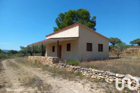 Продажа земельного участка в Джинестар, Таррагона, Испания 46791м2 №185781 - фото 29