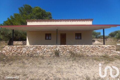 Terreno a Ginestar, Tarragona, Spagna 46791 mq. N° 185781