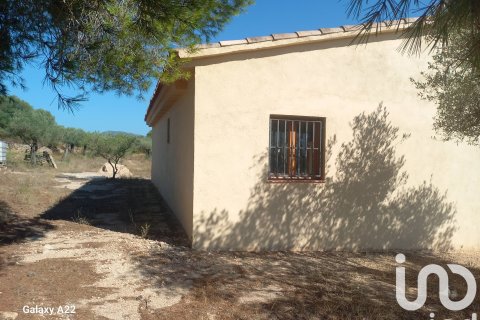 Продажа земельного участка в Джинестар, Таррагона, Испания 46791м2 №185781 - фото 6