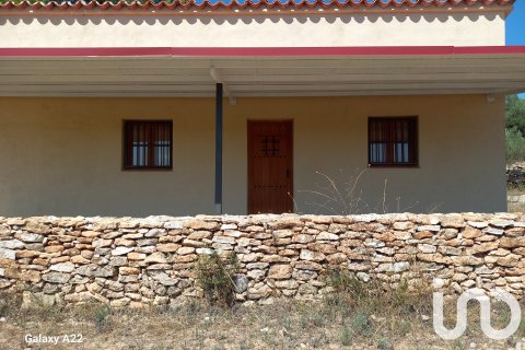 Продажа земельного участка в Джинестар, Таррагона, Испания 46791м2 №185781 - фото 28