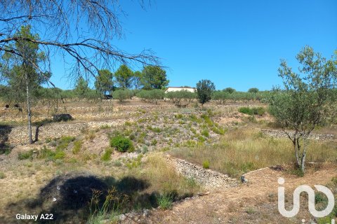 Продажа земельного участка в Джинестар, Таррагона, Испания 46791м2 №185781 - фото 25