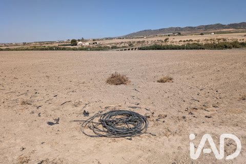 Komerciāls īpašums pārdošanā Lorca, Murcia, Spānijā Nr. 194408 - attēls 8