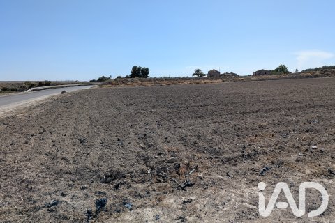 Komerciāls īpašums pārdošanā Lorca, Murcia, Spānijā Nr. 194408 - attēls 11