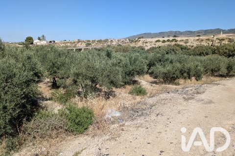 Komerciāls īpašums pārdošanā Lorca, Murcia, Spānijā Nr. 194408 - attēls 6